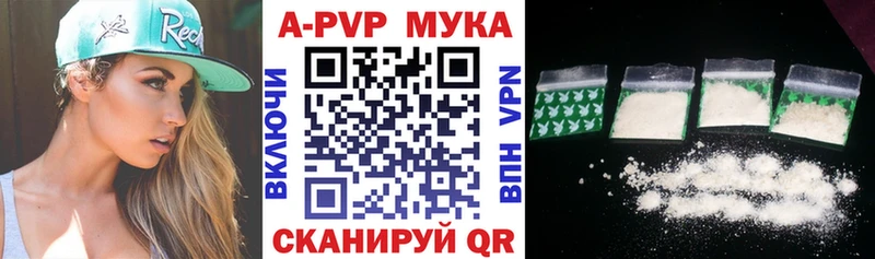 Альфа ПВП СК КРИС  Терек 
