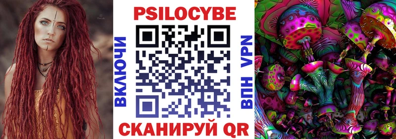 Псилоцибиновые грибы Psilocybe  МЕГА ONION  Терек 